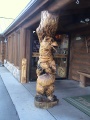 Cooking Bear Piller